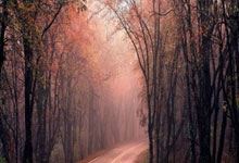 完美体育：[流言板]大补强！亨特加盟骑士后出战6场比赛，骑士无一失利42亮96回复.