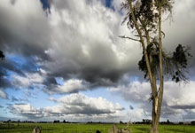 新进展!国际体育公园城三小球馆、游泳馆即将竣工.