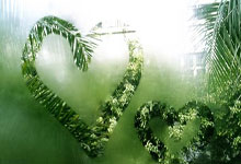 2025全明星計劃引入錦標賽制 由三支8人隊和新秀賽勝者進行對抗.