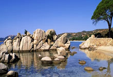 新进展!国际体育公园城三小球馆、游泳馆即将竣工.